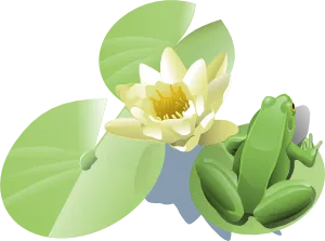 利兰麦金尼斯青蛙在睡莲的叶子上的剪...