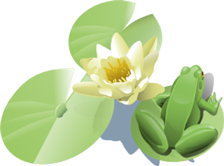 利兰麦金尼斯青蛙在睡莲的叶子上的剪...