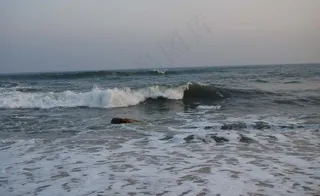 海景图片