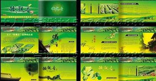 铁观音画册设计矢量素材