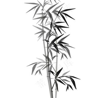 水墨竹子生长flash动画 竹子竹...