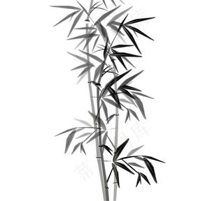 水墨竹子生长flash动画 竹子竹...