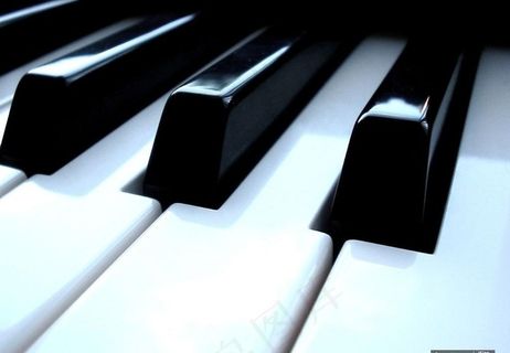 钢琴键图片