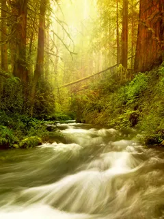 自然美景 自然美景