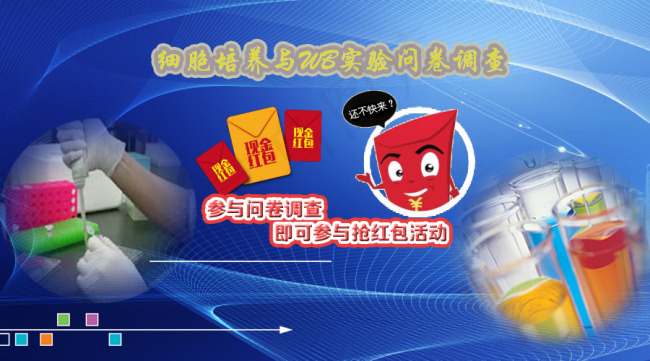 调查问卷网页素材psd模版下载