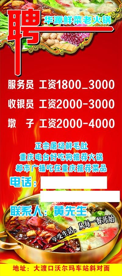 招聘cdr矢量模版下载