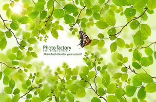 创意广告展板背景