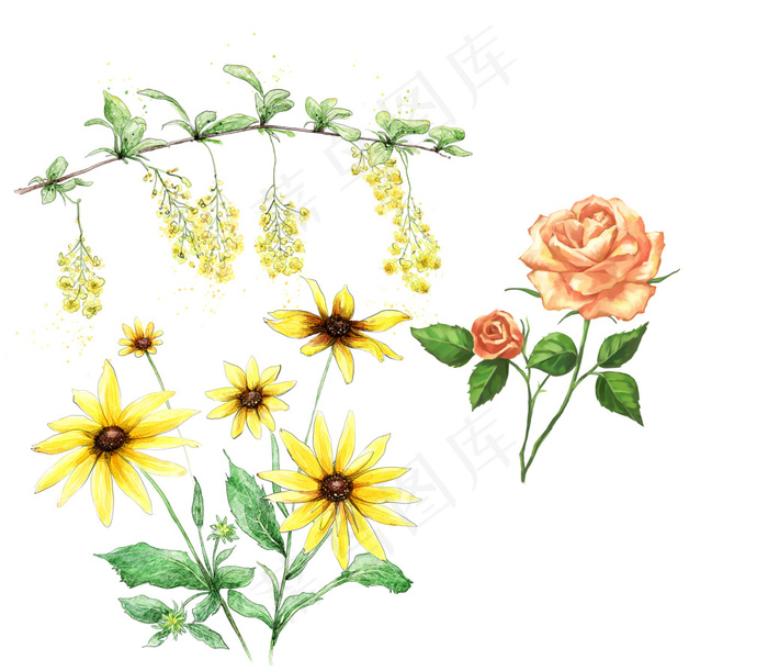 花纹素材psd模版下载