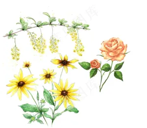 花纹素材