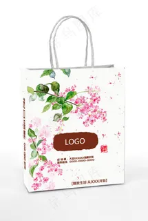白板纸手提袋设计
