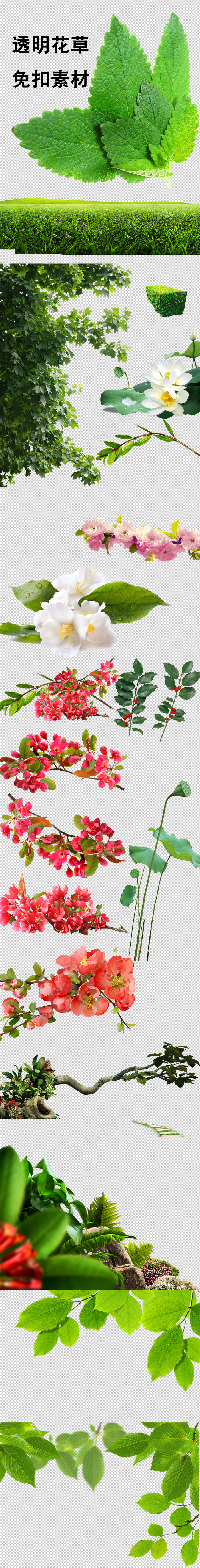 高清免扣花草素材矢量参考(1024X8000(DPI:150))psd模版下载