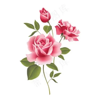 花卉 印花 花素...