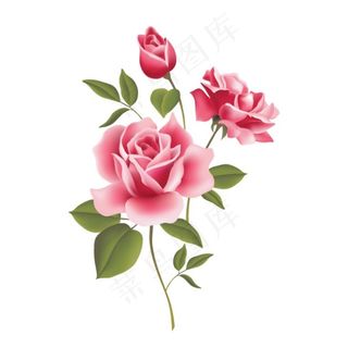 花卉 印花 花素...