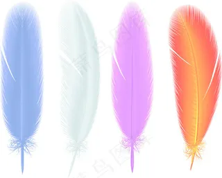 彩色羽毛笔刷