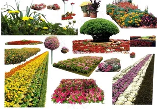 园林景观花草树林鸟瞰透视效果图ps...