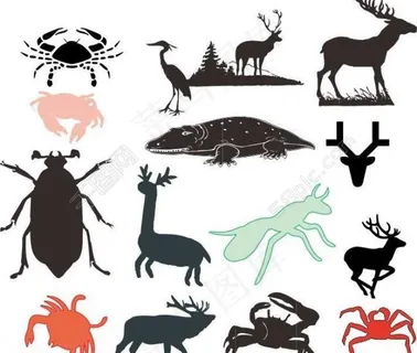 动物世界图片 动物世界图片