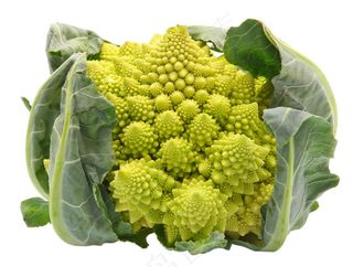 精细免扣花菜PSD素材画面