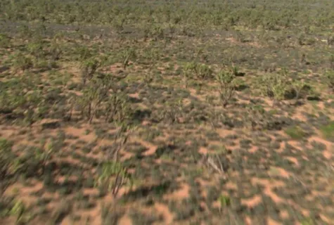 草原草地视频素材素材下载