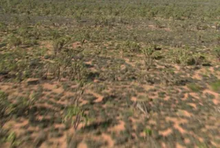 草原草地视频素材素材下载