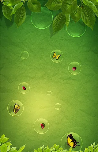 绿色海报 树叶 蝴蝶图片