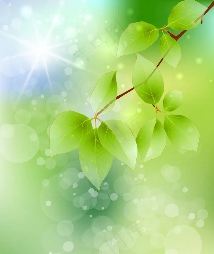 绿叶背景图片(7087X8366(DPI:300))psd模版下载