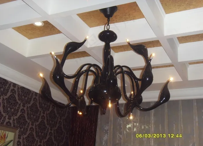 吊灯 黑天鹅
