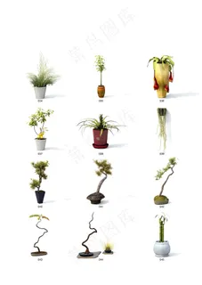 绿植盆栽植物模型 绿植盆栽植物模型