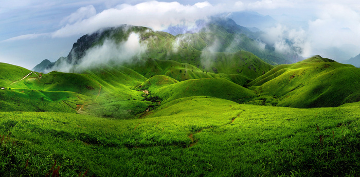 背景 海报 森林 桌面 淘宝素材