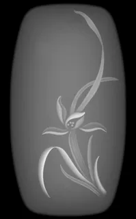 灰度图兰花图片