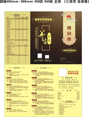 足疗 养身 SPA三折页