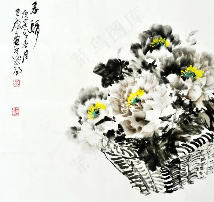 牡丹花图片