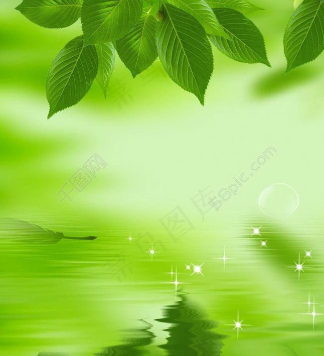 绿色海报 树叶图片