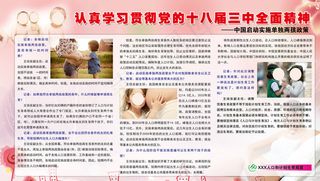 开放二胎展板图片