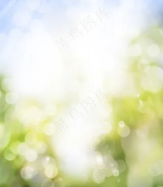绿色清新背景图片