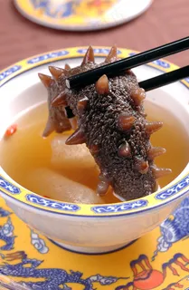 晓芹海参图片 晓芹海参图片