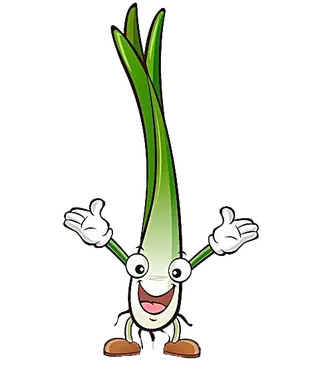 卡通实物葱花蔬菜海报PNG素材