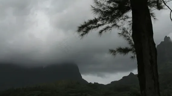 茉莉移动的云彩股票视频