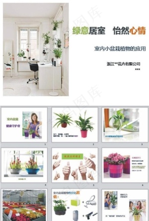 植物 PPT预览图