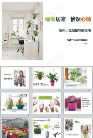 植物 PPT预览图