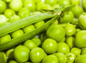 新鲜豌豆摄影