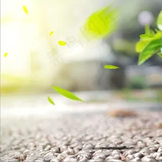 清新公路树叶主图 清新公路树叶主图