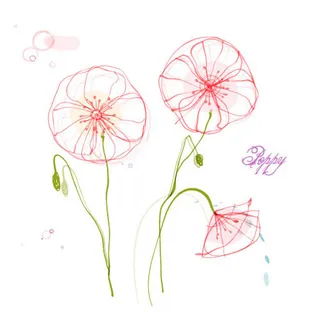 郁金香花矢量图 郁金香花矢量图