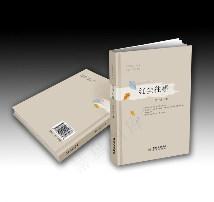 文学书籍封面设计图片