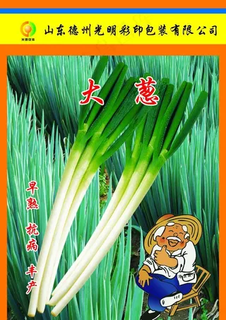 蔬菜包装图片