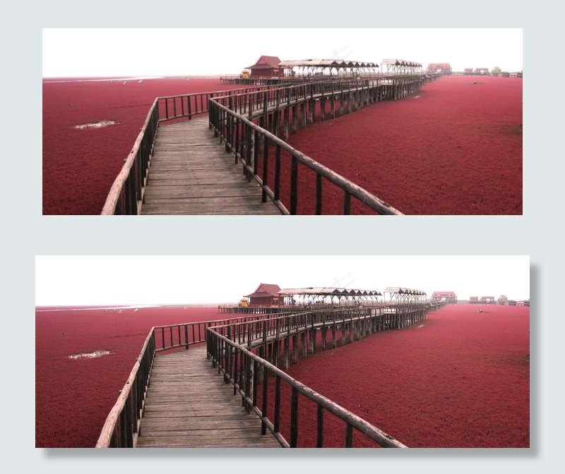 红海滩走廊图片