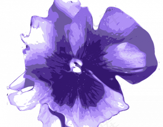 三色堇矢量图像