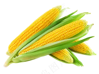美味玉米颗粒海报PNG素材