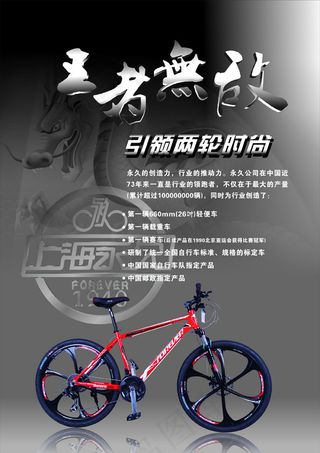 上海永久山地车彩页