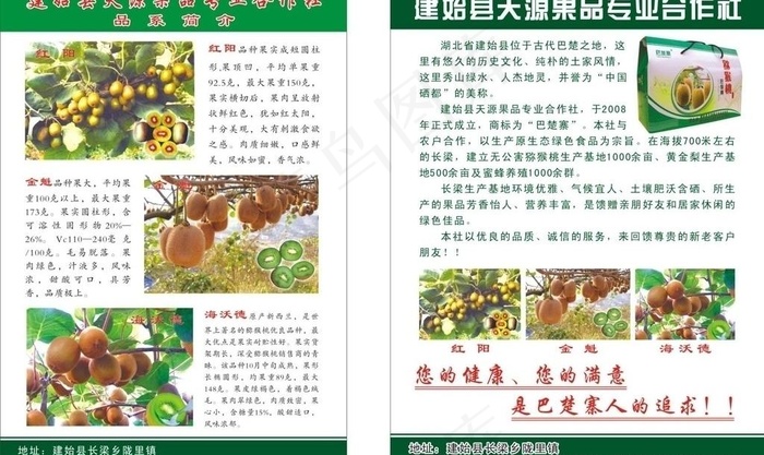 猕猴桃专业合作社图片cdr矢量模版下载