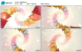 绚丽唯美花瓣万花筒物品展示视频素材